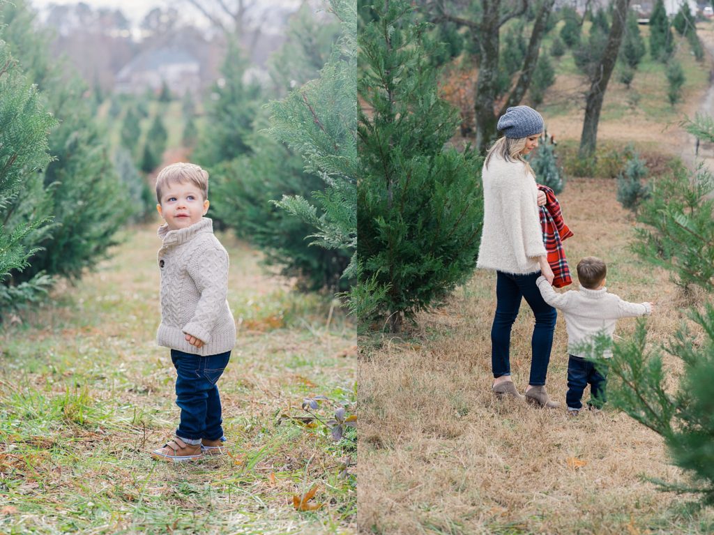 little boy at holiday tree farm