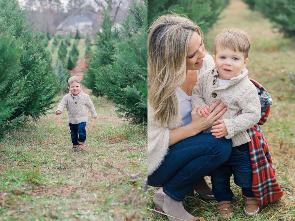 little boy at holiday tree farm