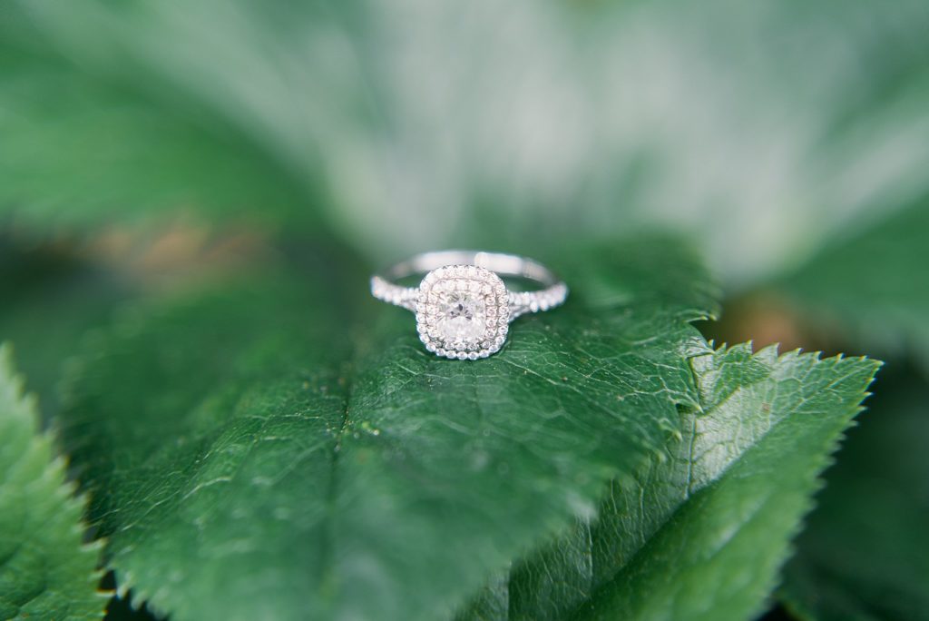 diamond engagement ring on green leaf