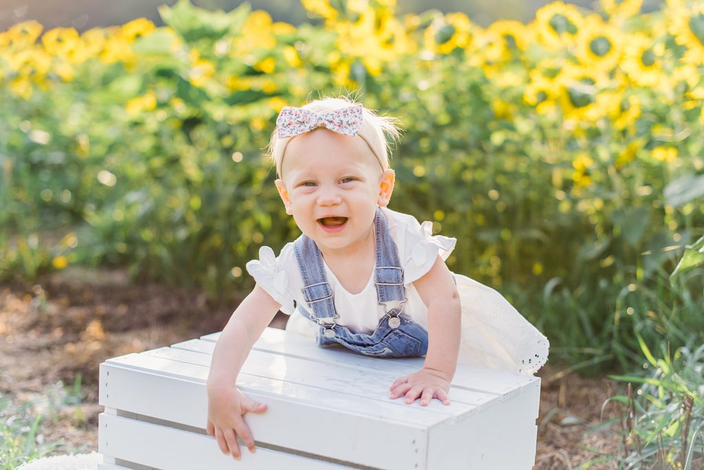 9 month old baby sunflower fields photo session