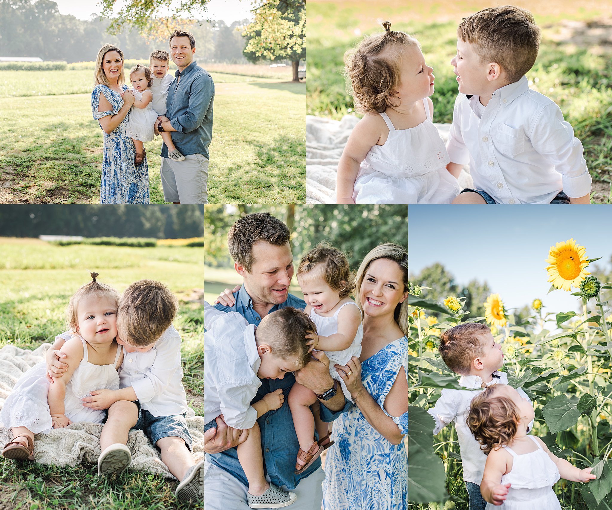 Sunflower field family session