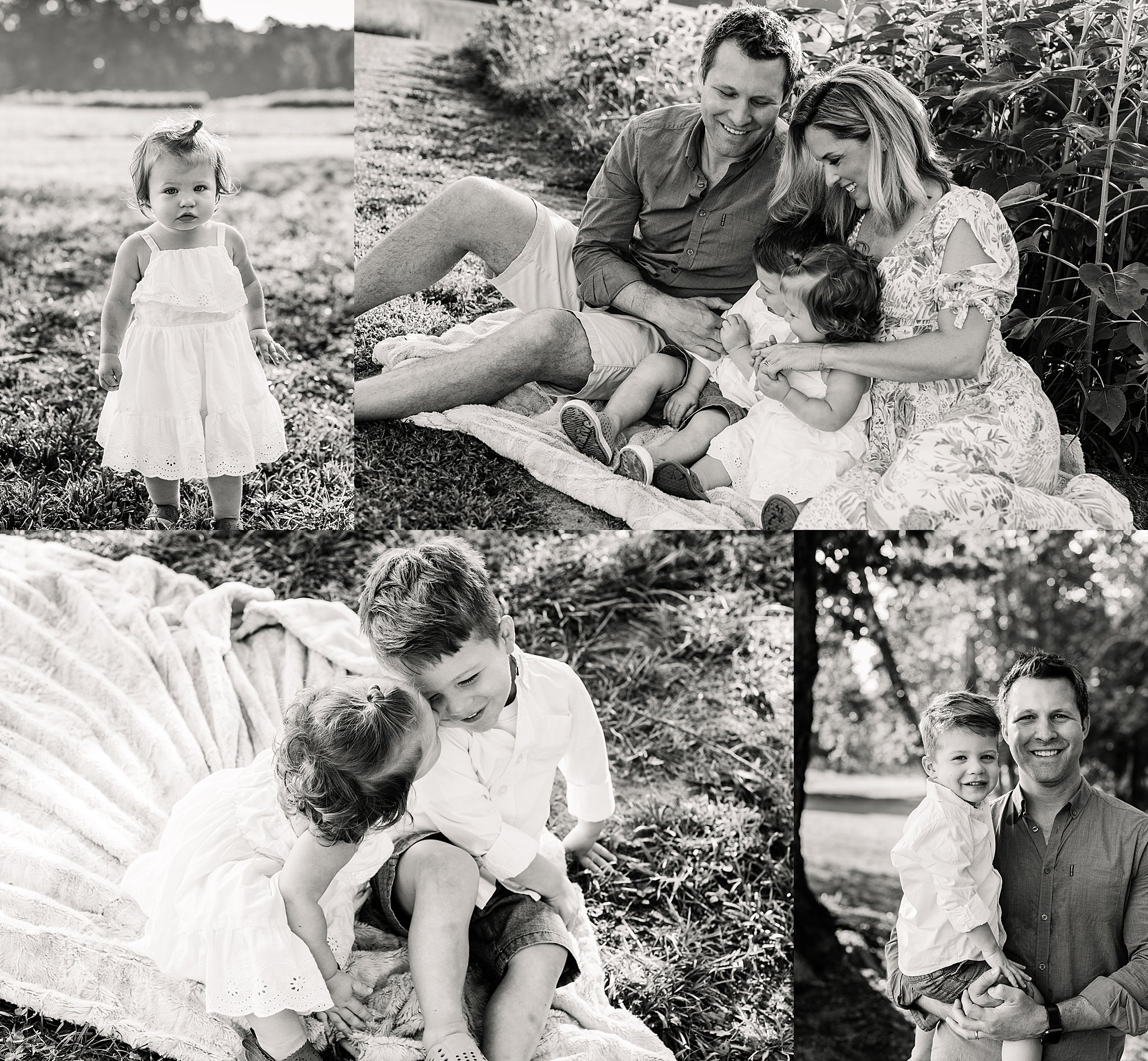 Sunflower field family session
