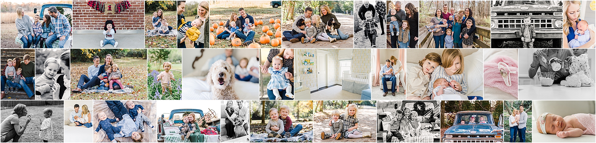 Katherine Jianas Photography 2019 in review
