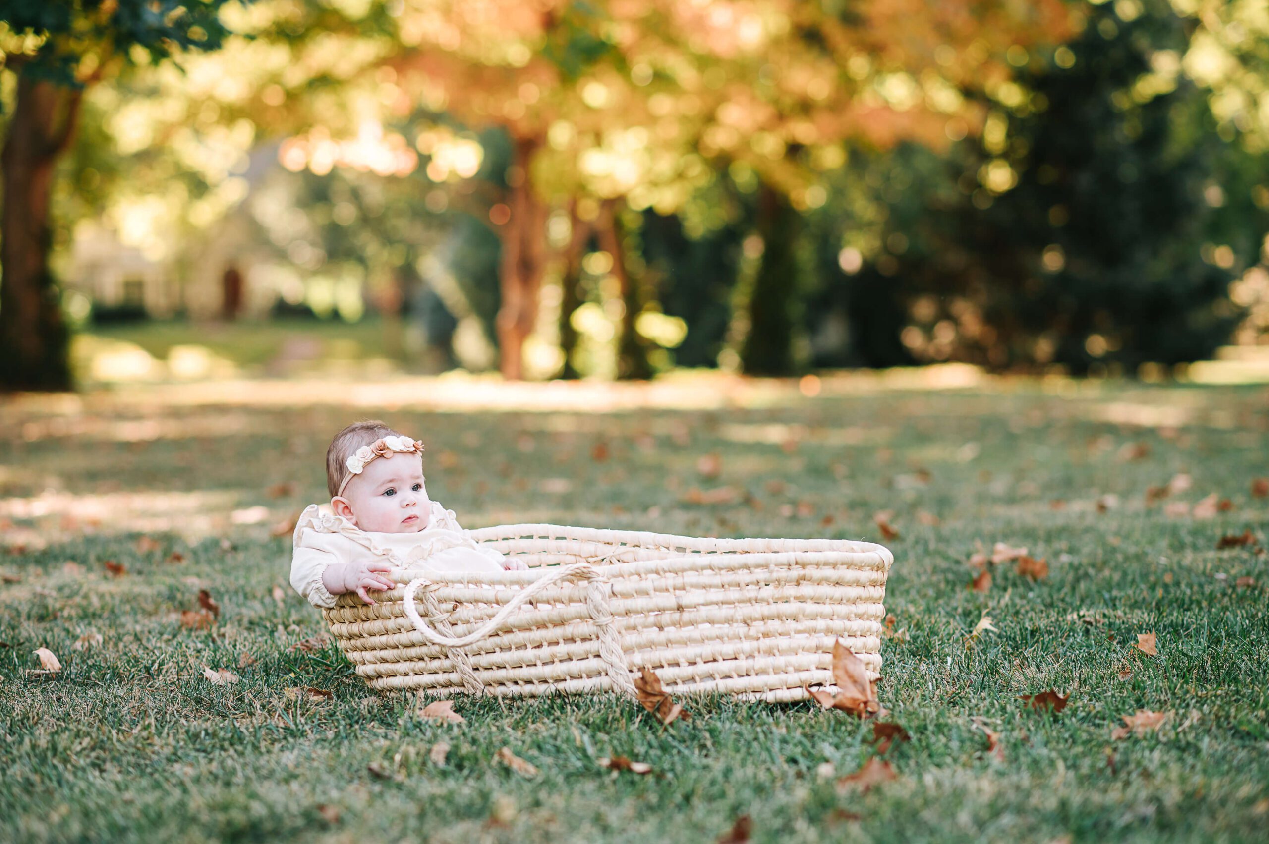 adorable baby sitting in a moses basket in a field with fall foliage
